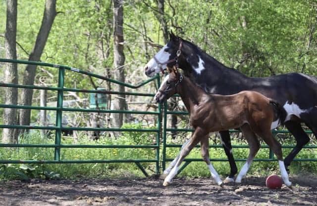 466040376_122135992628366197_6219437718723165298_n