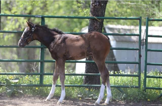 466335863_122135992664366197_2263605756360846198_n