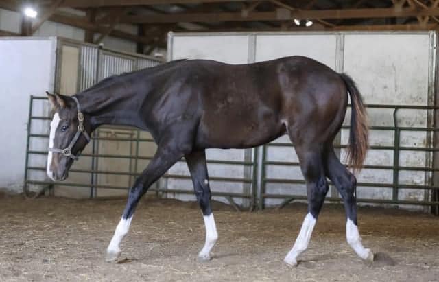 466365032_122135992448366197_4804817799985438876_n (1)