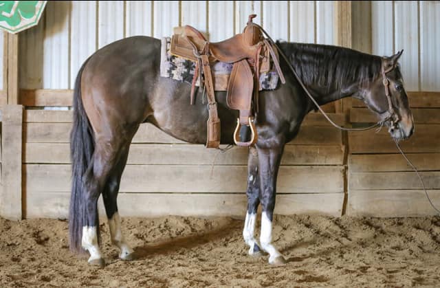 466375826_122135992760366197_2763231175313764729_n