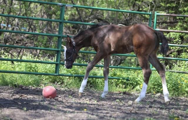 466487375_122135992730366197_9144903033363551316_n