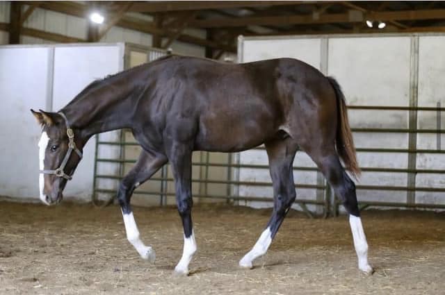 466589197_122135992724366197_1558702834767270055_n