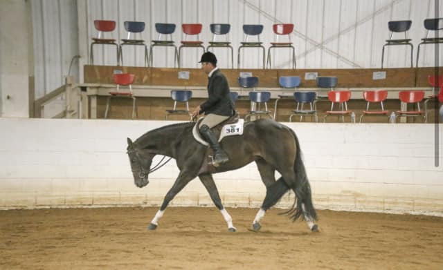 468982393_122138891918366197_6357241114421707148_n