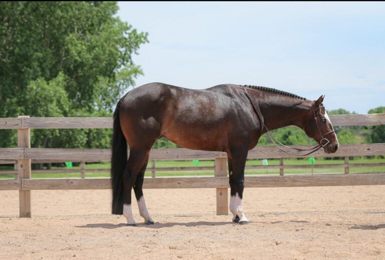 518334331_122173200746366197_4825454234312715328_n