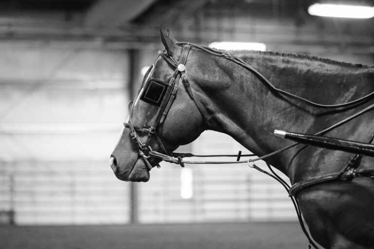 543111501_122180717090366197_1965272020389058182_n