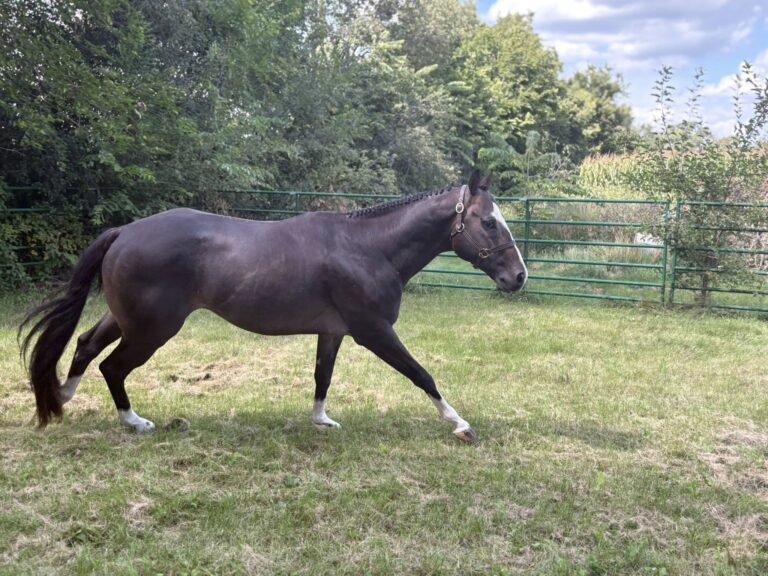 545128664_122181623534366197_4803231713901638897_n