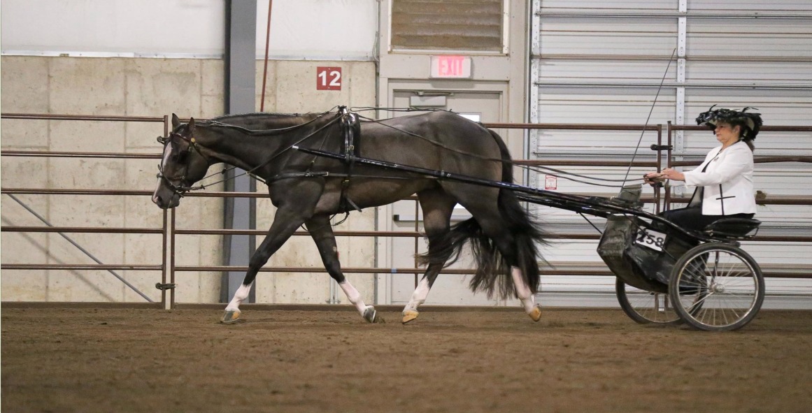 Champions Start HereJanesville, WI