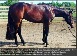 Screenshot 2025-12-04 143030