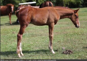 Screenshot 2025-12-04 143213