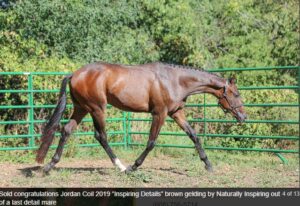 Screenshot 2025-12-04 143235