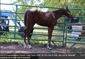 Screenshot 2025-12-04 143317