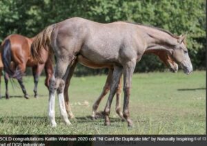 Screenshot 2025-12-04 143337