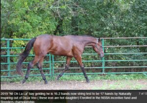 Screenshot 2025-12-04 143401