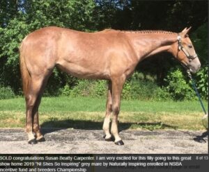 Screenshot 2025-12-04 143420