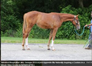 Screenshot 2025-12-04 143443