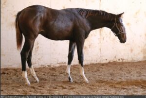 Screenshot 2025-12-04 143606