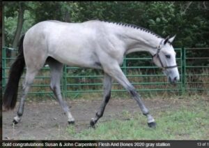 Screenshot 2025-12-04 143629